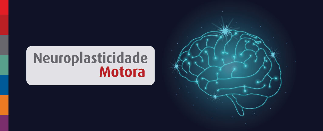 Foto da notícia Neuroplasticidade: o que é e qual a sua importância para a neuroeducação