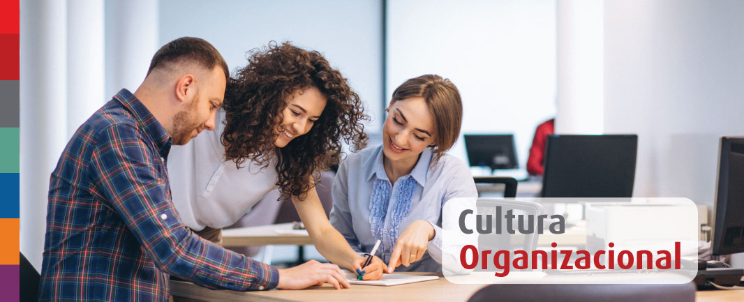 Foto da notícia Como a cultura organizacional influencia no desenvolvimento dos colaboradores?
