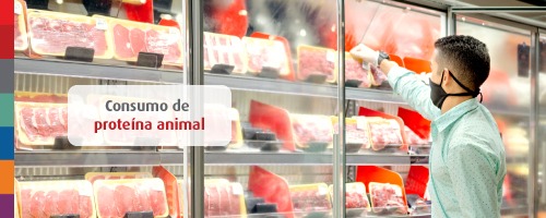 Foto da notícia Consumo de proteína animal: faz mal comer carne todos os dias?