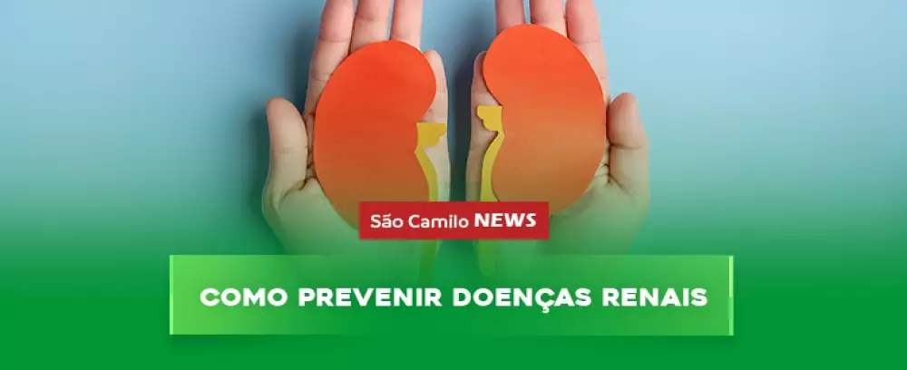 Foto da notícia Como prevenir doenças renais?
