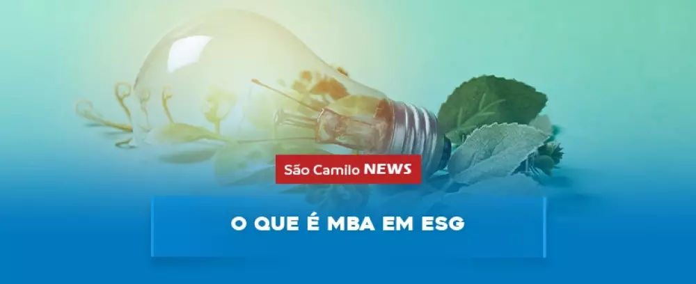 Foto da notícia O que é MBA em ESG?