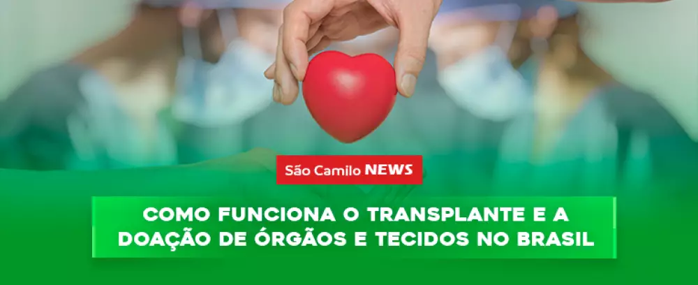 Foto da notícia Como funciona o transplante e a doação de órgãos e tecidos no Brasil?