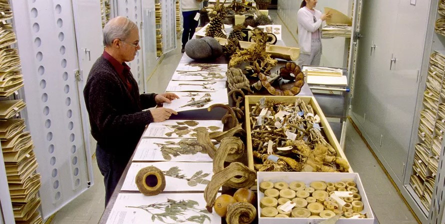 Diretor de museu observando uma exposição com obras de arte em exibição
