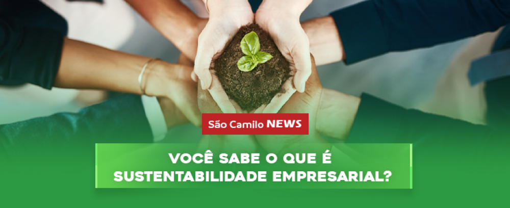 Foto da notícia Você sabe o que é sustentabilidade empresarial?