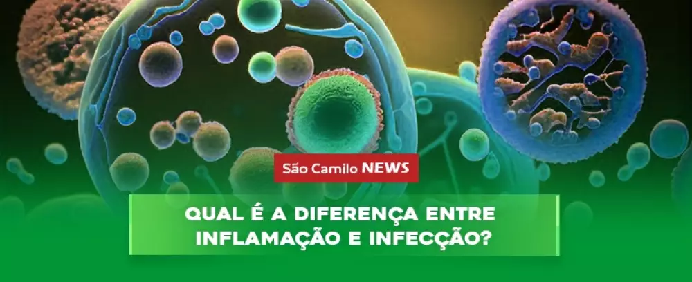 Foto da notícia Qual é a diferença entre inflamação e infecção?