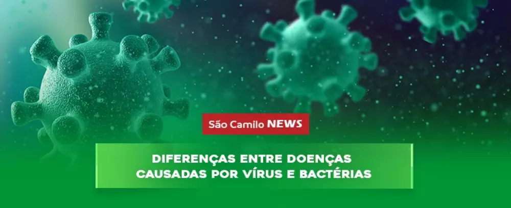 Foto da notícia Diferenças entre doenças causadas por vírus e bactérias