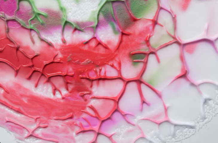 Ilustração da regeneração tecidual com destaque para órgãos em processo de reparo