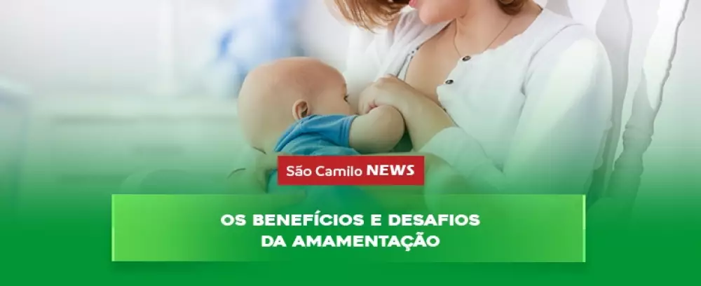 Foto da notícia Os benefícios e desafios da amamentação