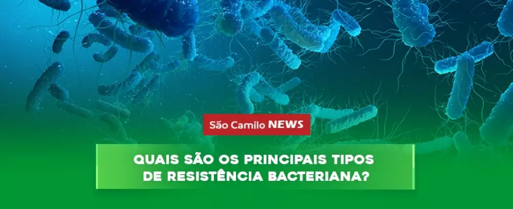 Foto da notícia Quais são os principais tipos de resistência bacteriana?