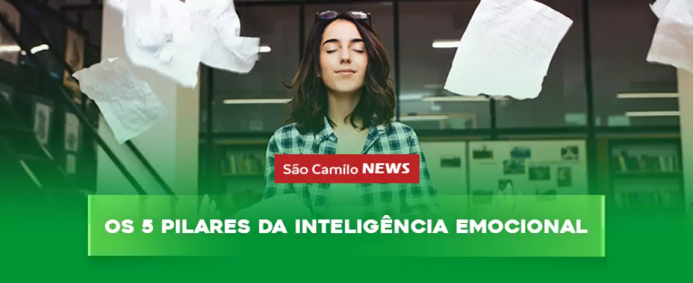 Foto da notícia Os 5 pilares da Inteligência Emocional