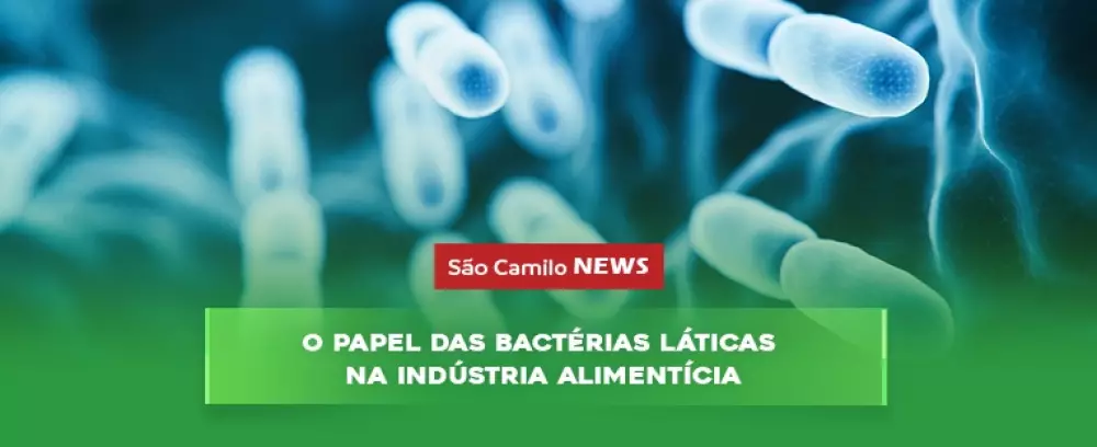 Foto da notícia O papel das bactérias láticas na indústria alimentícia